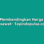 Cara Membandingkan Harga Tiket Pesawat