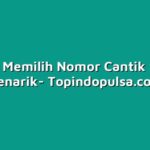 Cara Memilih Nomor Cantik yang Menarik