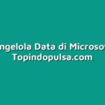 Cara Mengelola Data di Microsoft Excel