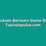 Kiat Sukses Bermain Game Online