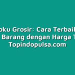 Topindoku Grosir: Cara Terbaik untuk Mencari Barang dengan Harga Terbaik