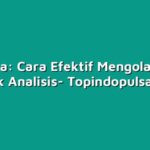Tri Data: Cara Efektif Mengolah Data untuk Analisis