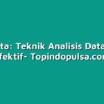 Tri Data: Teknik Analisis Data yang Efektif