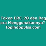 Apa Itu Token ERC-20 dan Bagaimana Cara Menggunakannya?