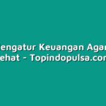 Cara Mengatur Keuangan Agar Tetap Sehat