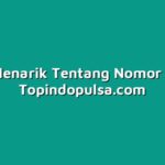 Fakta Menarik Tentang Nomor Cantik