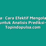 Tri Data: Cara Efektif Mengolah Data untuk Analisis Prediksi