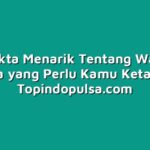 10 Fakta Menarik Tentang Warung Pulsa yang Perlu Kamu Ketahui