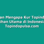 7 Alasan Mengapa Kur Topindo Jadi Pilihan Utama di Indonesia