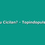 Apa Itu Cicilan?