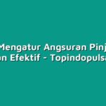 Cara Mengatur Angsuran Pinjaman dengan Efektif