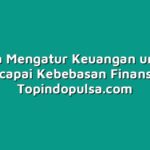 Cara Mengatur Keuangan untuk Mencapai Kebebasan Finansial