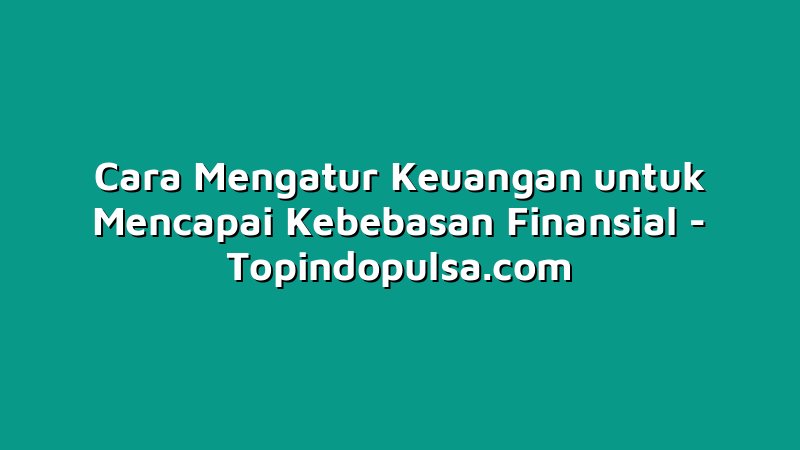 Cara Mengatur Keuangan untuk Mencapai Kebebasan Finansial