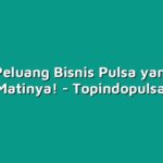 Kenali Peluang Bisnis Pulsa yang Tidak Ada Matinya!