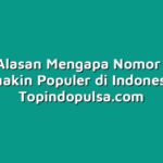 Inilah Alasan Mengapa Nomor Cantik Semakin Populer di Indonesia