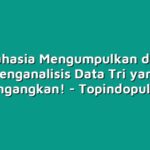 Rahasia Mengumpulkan dan Menganalisis Data Tri yang Mencengangkan!