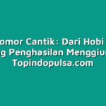 Bisnis Nomor Cantik: Dari Hobi Menjadi Ladang Penghasilan Menggiurkan
