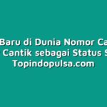 Tren Baru di Dunia Nomor Cantik: Nomor Cantik sebagai Status Sosial