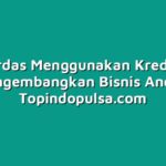 Cara Cerdas Menggunakan Kredit untuk Mengembangkan Bisnis Anda