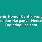 Jenis-Jenis Nomor Cantik yang Paling Diburu dan Harganya Mencekik