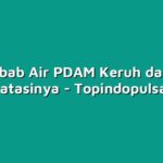 Penyebab Air PDAM Keruh dan Cara Mengatasinya