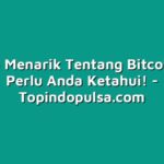 5 Fakta Menarik Tentang Bitcoin Yang Perlu Anda Ketahui!