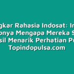 Bongkar Rahasia Indosat: Inilah Sebabnya Mengapa Mereka Selalu Berhasil Menarik Perhatian Publik