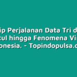 Mengintip Perjalanan Data Tri dari Awal Muncul hingga Fenomena Viral di Indonesia.