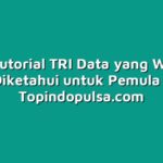 10 Tutorial TRI Data yang Wajib Diketahui untuk Pemula