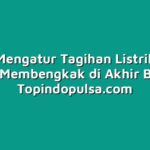 Cara Mengatur Tagihan Listrik agar Tidak Membengkak di Akhir Bulan