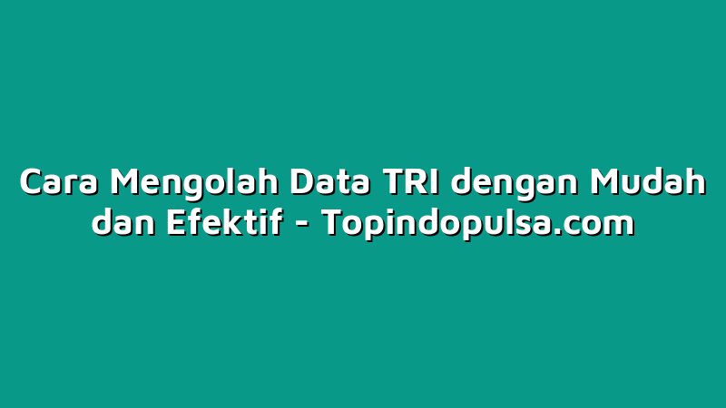Cara Mengolah Data TRI dengan Mudah dan Efektif