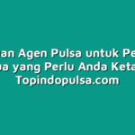 Panduan Agen Pulsa untuk Pemula: Semua yang Perlu Anda Ketahui