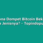 Bagaimana Dompet Bitcoin Bekerja dan Apa saja Jenisnya?