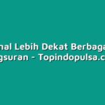 Mengenal Lebih Dekat Berbagai Jenis Angsuran