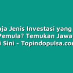 Apa Saja Jenis Investasi yang Cocok untuk Pemula? Temukan Jawabannya di Sini